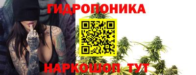 бошки Краснодар