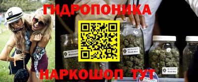 бошки Краснодар