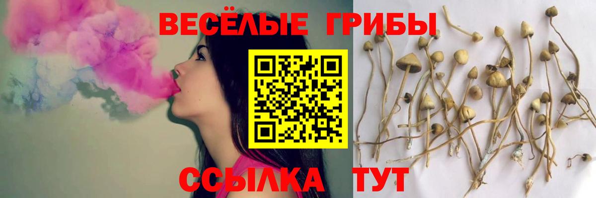 Галлюциногенные грибы прущие грибы  Вход с VPN  Десногорск 